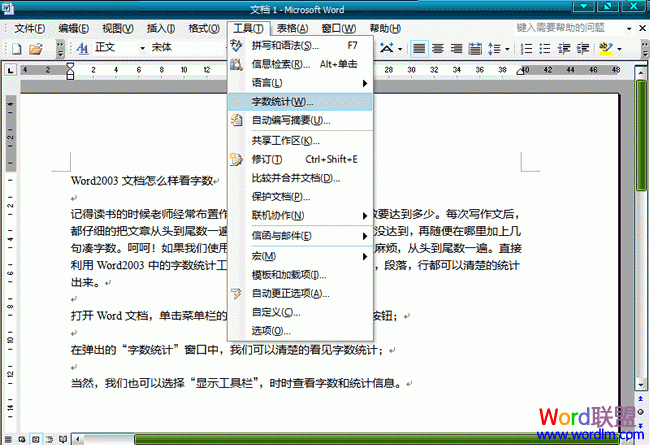 Word2003ĵô